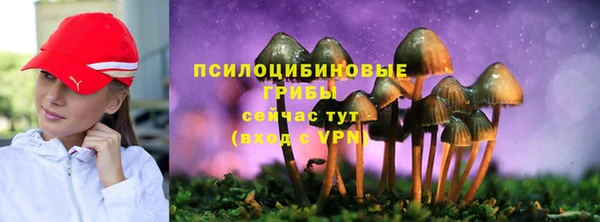 эйфоретик Нижний Тагил