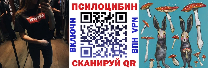 ссылка на мегу зеркало  Азнакаево  Псилоцибиновые грибы Psilocybine cubensis 