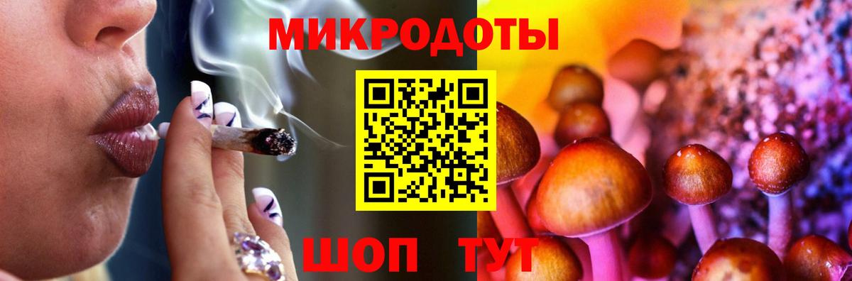 Псилоцибиновые грибы прущие грибы Азнакаево